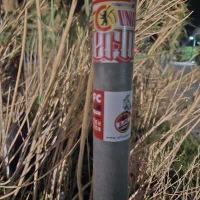 PHOTO-2025-10-21-19-58-55